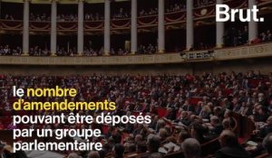 Pour le député Adrien Quatennens, l’Assemblée nationale est "une chambre d’enregistrement des désidératas du président"