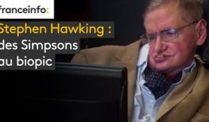 Stephen Hawking : des Simpsons au biopic