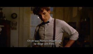 Les Animaux Fantastiques 2 _ Les Crimes de Grindelwald - Trailer Bande Annonce Officielle (VOST) [720p]