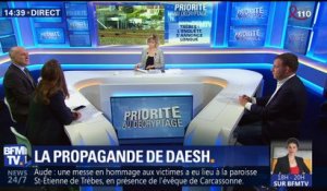 Attaques dans l'Aude: l'enquête s'annonce longue