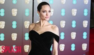 Angelina Jolie not interested in dating