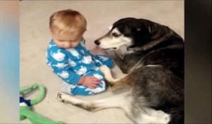 Adorable : ce bébé s'endort naturellement sur son chien