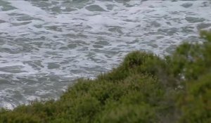 Adrénaline - Surf : Rip Curl Pro Bells Beach, Men's Championship Tour - Round 1 heat 1
