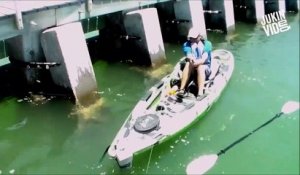 Ce pecheur en kayak va attraper le poisson de sa vie mais pas facile de le remonter à bord: : mérou géant