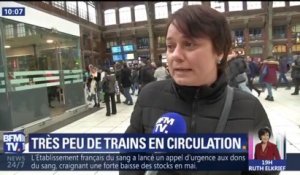 Grève à la SNCF: "On était tous collés les uns aux autres, tous collés à la vitre", témoigne une usagère à son arrivée à Lille