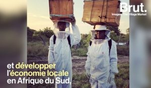 Comment les abeilles peuvent changer l'Afrique du Sud