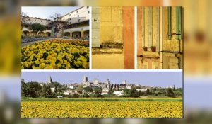 LA REVUE : La revue : Vladimir Biaggi/Livre "De Marseille en Provence"