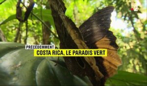 Feuilleton : Costa Rica, le paradis vert (3/5)