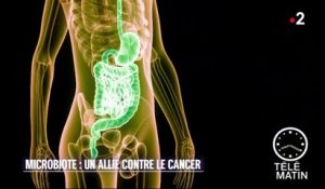 Santé - Notre intestin potentialise les traitements anti-cancer