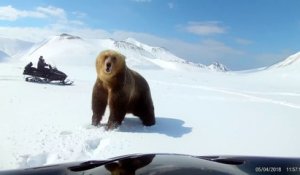 Deux hommes en motoneige chassent un ours de leur campement (Russie)