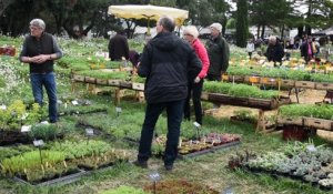 Sérignan-du-Comtat : "Plantes rares et jardin naturel" fête ses 20 ans