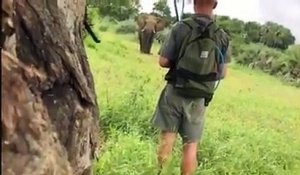 Un guide empêche l'attaque d'un éléphant