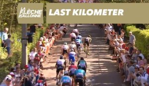 La victoire de Julian Alaphilippe - Flèche Wallone 2018
