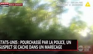 Etats-Unis : pourchassé par la police, un suspect se cache dans un marécage (vidéo)