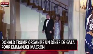 Donald Trump organise un dîner de gala pour Emmanuel Macron (vidéo)
