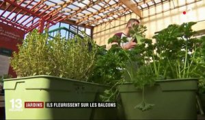 Jardins : les petits potagers fleurissent sur les balcons