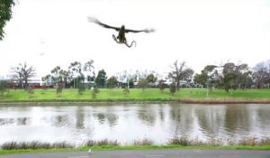 Un aigle lache un serpent sur une famille en plein barbecue