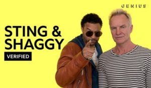 Sting & Shaggy Break Down "Morning Is Coming"