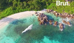 Seychelles : la plus belle plage au monde