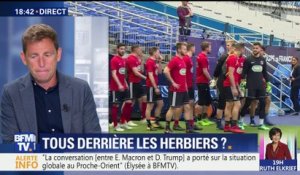 Coupe de France de football: les amateurs des Herbiers défient les stars du PSG en finale