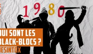 Qui sont les Black Blocs - DÉSINTOX - 10/05/2018