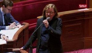 La ministre Nathalie Loiseau évoque les migrants qui font du "shopping de l'asile"
