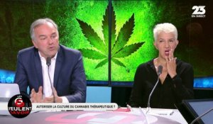 Les GG veulent savoir : Doit-on autoriser la culture du cannabis à but thérapeutique ? - 10/05