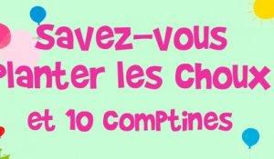 Jacques Haurogne Un Gros Chat Gris Comptine Pour Enfants Sur Orange Videos