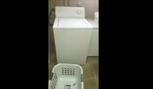 Mouchoir oublié dans le lave-linge : comment retirer les peluches ?