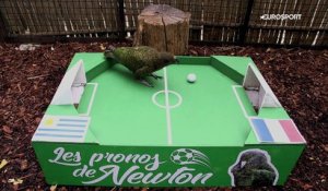 Le prono de Newton : entre la France et l'Uruguay, qui verra le dernier carré ?