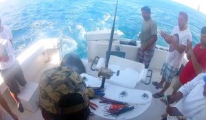 Ces pecheurs vont avoir une visite incroyable sur le bateau... Lion de mer affamé