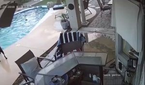 Un chien aide son copain à sortir de la piscine !