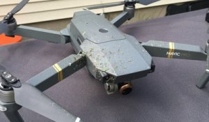 Un drone coupe un nid de guêpes en deux