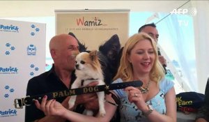 Cannes: le casting canin de "Dogman" récompensé par la Palm Dog