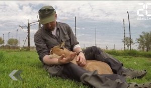 Cet animal sauvage le prend pour sa mère ! - Le Rewind du Mardi 22 Mai 2018