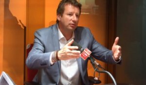Yannick Jadot: «Macron a tranché en faveur des lobbies des pesticides»