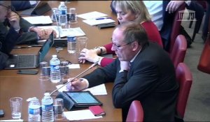 Commission des finances et commission des affaires européennes : Audition conjointe de M. Pierre MOSCOVICI, commissaire européen ; Liberté de choisir son avenir professionnel - Jeudi 24 mai 2018