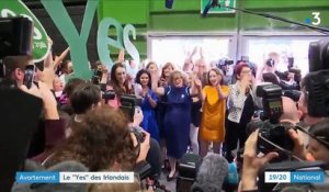 Irlande : le peuple vote "Oui" à l'avortement