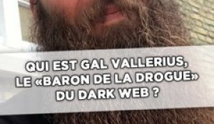 Qui est Gal Vallerius, le «baron de la drogue» du dark web, jugé aux Etats-Unis ?
