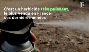 Glyphosate : ce qu'il faut savoir sur cette molécule controversée