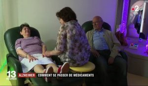 Alzheimer : des thérapies pour se passer des médicaments