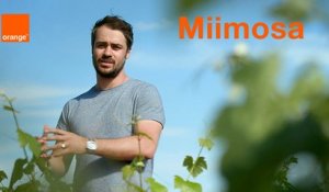 MiiMOSA - Start-up Stories Saison 2