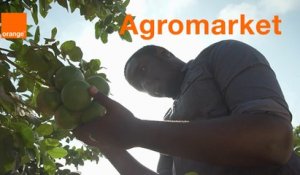 AgroMarket - Start-up Stories Saison 2