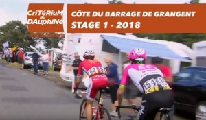 Côte du barrage de Grangent - Étape 1 / Stage 1 (Valence / Saint-Just-Saint-Rambert) - Critérium du Dauphiné 2018