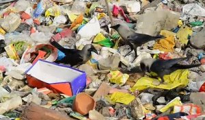 Dans un bidonville de Delhi, un océan de plastique