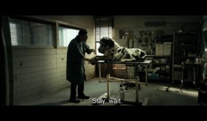 Dogman (2018) - Excerpt 1 (English Subs)