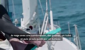 "J'espère voir des requins" : un Français va traverser l'océan Pacifique... à la nage !