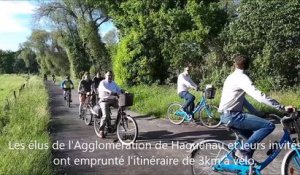 Piste cyclable à Haguenau