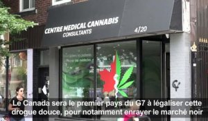Le Canada avance vers la légalisation du cannabis récréatif