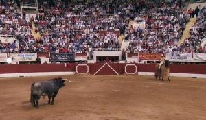 Signes du toro - Signes du toro - Férias de Nîmes et Vic Fezensac 2018